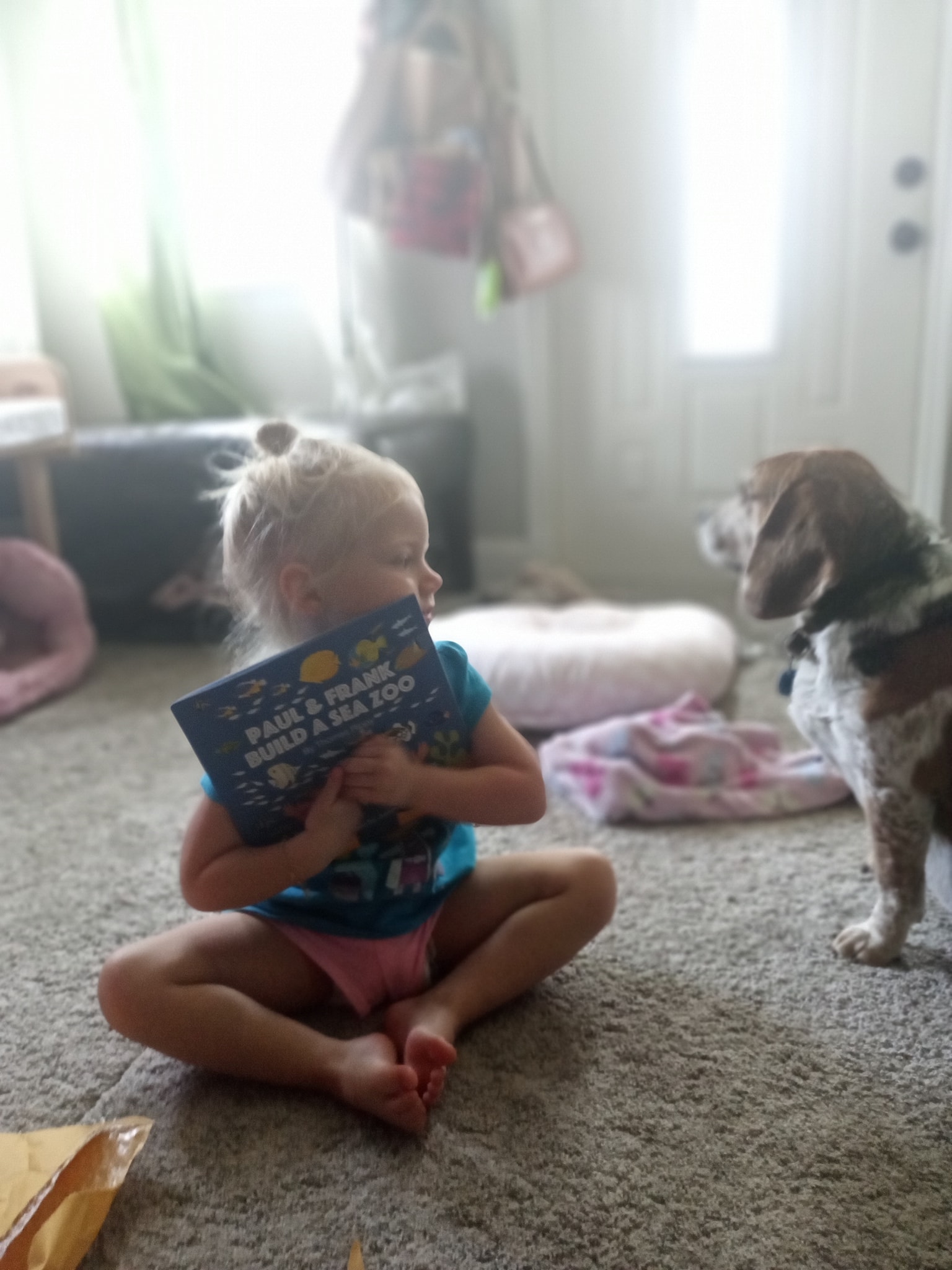A Young Girl With Her Thomas Rippy Book